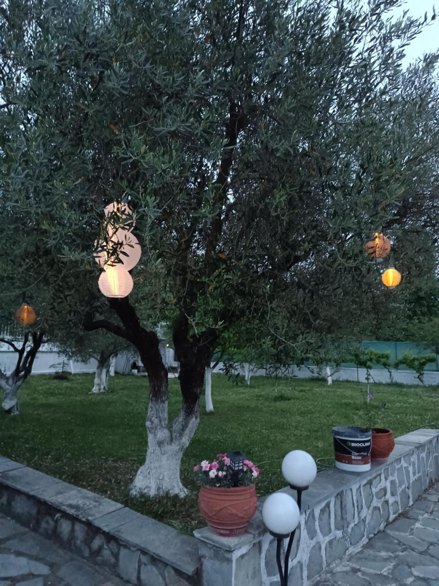בית הארחה קאלאבאקה 	Pomegranate Tree House - Meteora מראה חיצוני תמונה